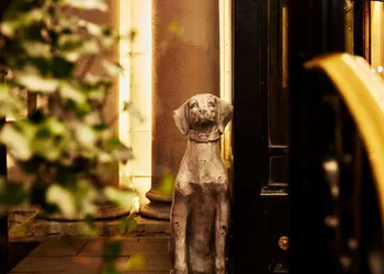The Eliot Hotel hotel thumbnail 5