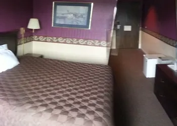 Americourt Hotel hotel thumbnail 5