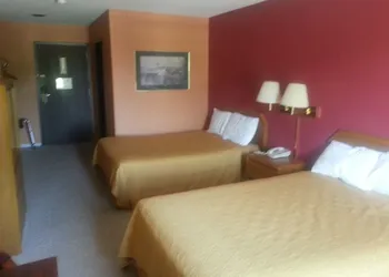 Americourt Hotel hotel thumbnail 6