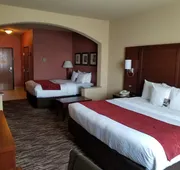 Comfort Suites McAllen Airport and La Plaza Mall hotel detail image 3
