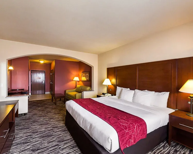 Comfort Suites McAllen Airport and La Plaza Mall hotel detail image 6
