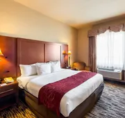 Comfort Suites McAllen Airport and La Plaza Mall hotel detail image 7