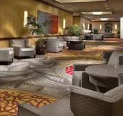 DoubleTree by Hilton Chicago - Alsip hotel detail image 4