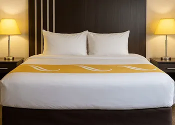 Village Inn & Suites hotel thumbnail 8