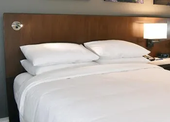 The Fontana Hotel hotel thumbnail 8