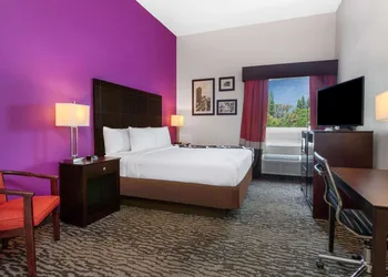 La Quinta Inn & Suites by Wyndham Tampa Bay Area-Tampa South hotel thumbnail 5