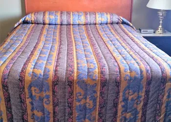 Lamplighter Viking Motel hotel thumbnail 6