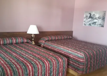Lamplighter Viking Motel hotel thumbnail 7