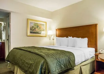 Quality Inn Savannah Historic District hotel thumbnail 5
