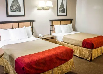 Econo Lodge Inn & Suites Colonie Center Mall hotel thumbnail 5