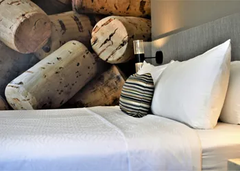 Hotel Indigo Napa Valley by IHG hotel thumbnail 8