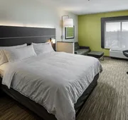 Holiday Inn Express & Suites Brandon by IHG hotel detail image 7