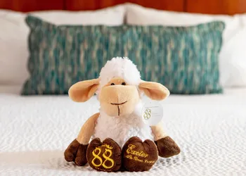 Courtyard by Marriott Boston Copley Square hotel thumbnail 6