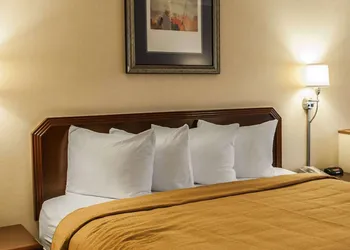 Quality Inn & Suites Goshen hotel thumbnail 8