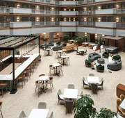 Embassy Suites by Hilton Dulles North Loudoun hotel detail image 4