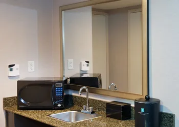 Embassy Suites by Hilton Detroit Livonia Novi hotel thumbnail 5
