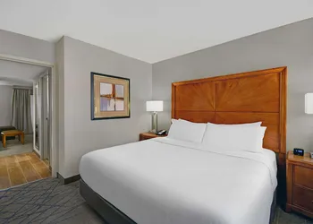 Embassy Suites by Hilton Detroit Livonia Novi hotel thumbnail 7