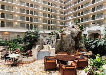 Embassy Suites by Hilton Fort Lauderdale 17th Street hotel thumbnail 6