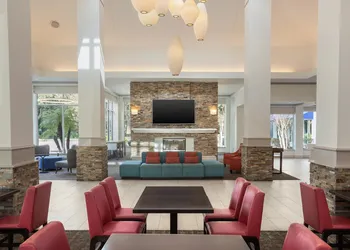 Hilton Garden Inn Tampa North Busch Gardens hotel thumbnail 2