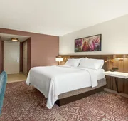 Hilton Garden Inn Allentown Bethlehem Airport hotel detail image 7