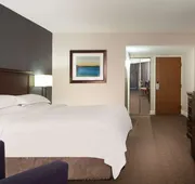 Hilton Houston NASA Clear Lake hotel detail image 7