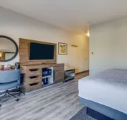 Hampton Inn & Suites Gainesville hotel detail image 3