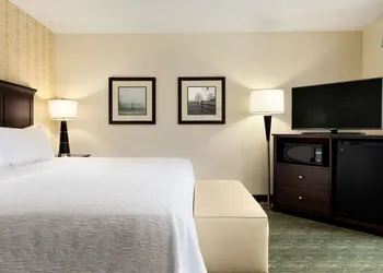 Hampton Inn Dover hotel thumbnail 7