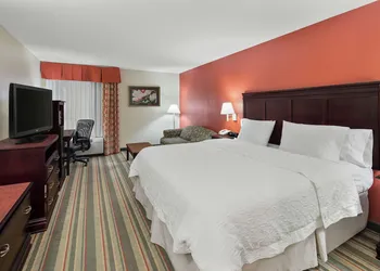 Hampton Inn Richmond-Southwest-Hull Street hotel thumbnail 8