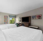 Hampton Inn Stroudsburg/Poconos hotel detail image 5