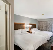 Hampton Inn Columbia-I-26 Airport hotel detail image 7