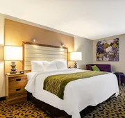 Comfort Inn Raleigh Midtown hotel detail image 7