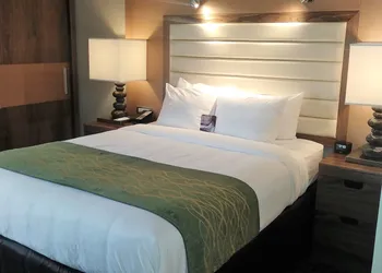 Comfort Inn Raleigh Midtown hotel thumbnail 8