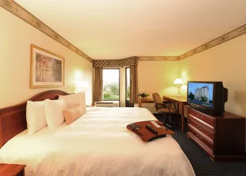 Hampton Inn & Suites Atlanta Galleria hotel thumbnail 5