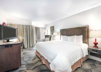 Hampton Inn & Suites Atlanta Galleria hotel thumbnail 7