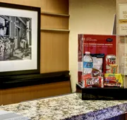 Hampton Inn & Suites Atlanta Galleria hotel detail image 4