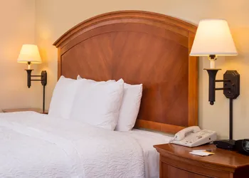 Hampton Inn San Antonio Stone Oak hotel thumbnail 8