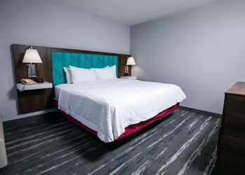 Hampton Inn Pickwick Dam-At Shiloh Falls hotel thumbnail 8