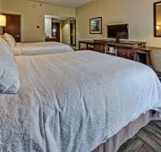 Hampton Inn Newberry-Opera House hotel detail image 4