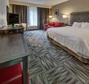 Hampton Inn Newberry-Opera House hotel detail image 7