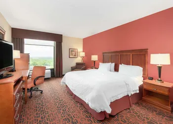 Hampton Inn by Hilton Branson on the Strip hotel thumbnail 6