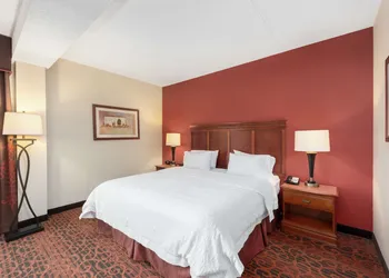 Hampton Inn by Hilton Branson on the Strip hotel thumbnail 8