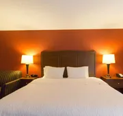 Hampton Inn Columbus-South hotel detail image 5
