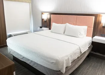 Hampton Inn Williamsport-Downtown hotel thumbnail 8
