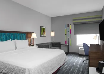 Hampton Inn Orlando/Lake Buena Vista hotel thumbnail 6
