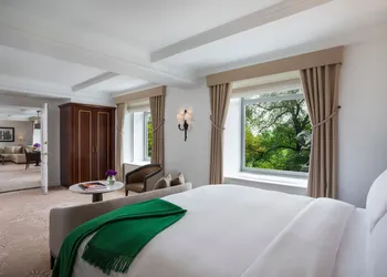 The Ritz-Carlton New York, Central Park hotel thumbnail 6