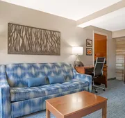 Comfort Suites near Birkdale Village- Huntersville hotel detail image 5