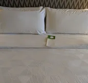Holiday Inn Champaign by IHG hotel detail image 3