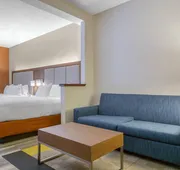 Holiday Inn Express Hotel & Stes Mt. Arlington Rockaway Area by IHG hotel detail image 3