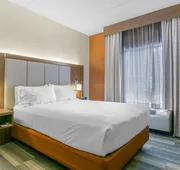 Holiday Inn Express Hotel & Stes Mt. Arlington Rockaway Area by IHG hotel detail image 5
