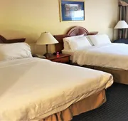 Holiday Inn Express Syracuse Airport by IHG hotel detail image 5
